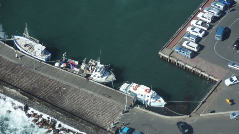 Plover-at-Mornington-Pier-fishing-cruising-2
