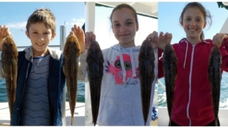 Article Flathead 3