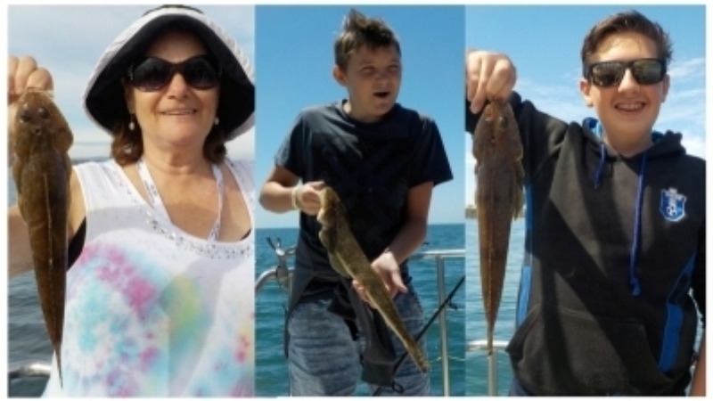 Article Flathead 5