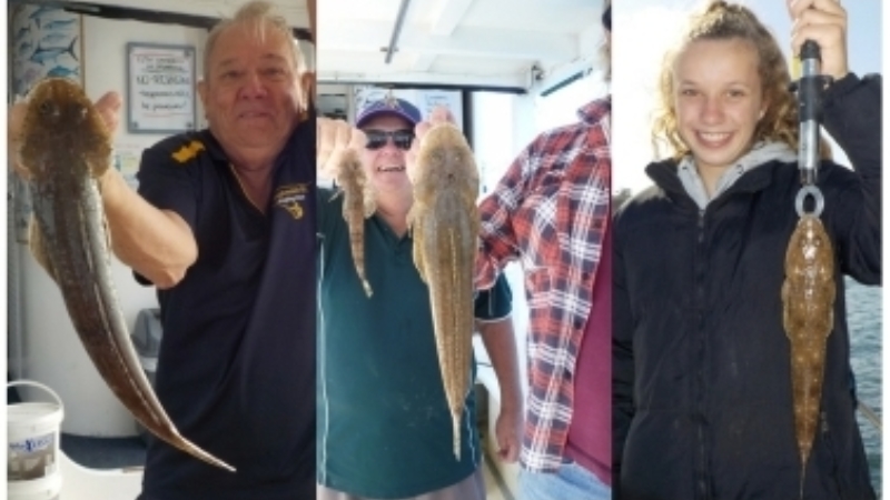 Article Flathead 7