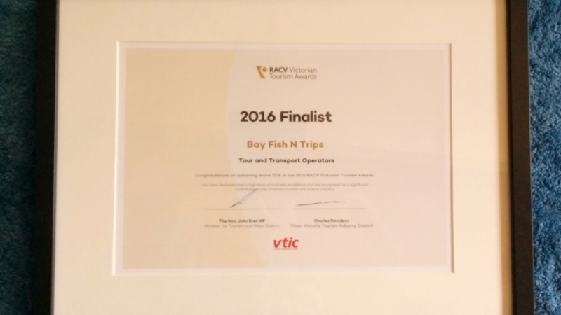 Finalist-award-VTA