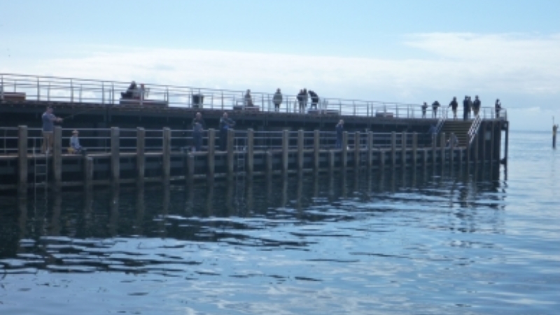 Morninton-Pier-history-17