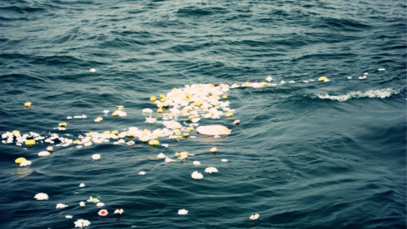 Scattering Of Ashes 1