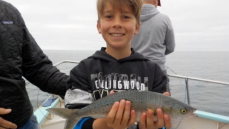 article-aust-salmon-5